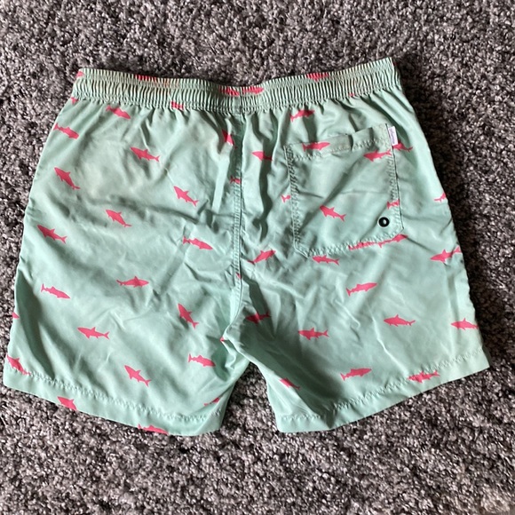 Mens Swimsuit - Picture 3 of 3